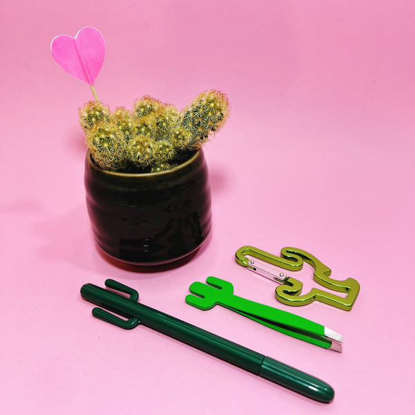 Cactus Lover's Gift Set