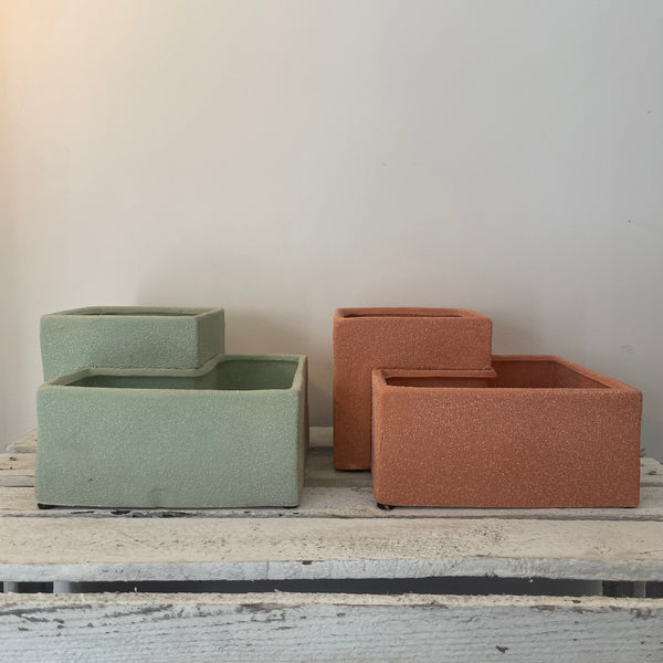 Desert Garden Repotting Set