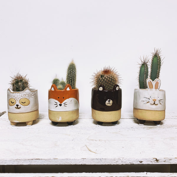 Forest Creatures