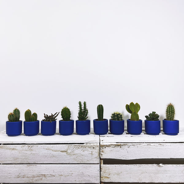Marrakech Gift Set of 10