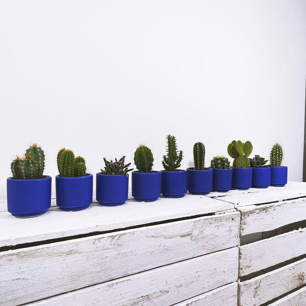 Marrakech Gift Set of 10