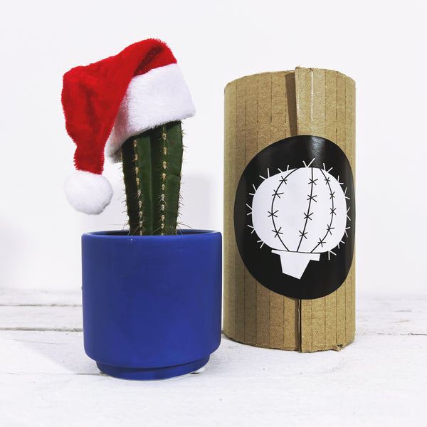 Marrakech Gift Set of 10