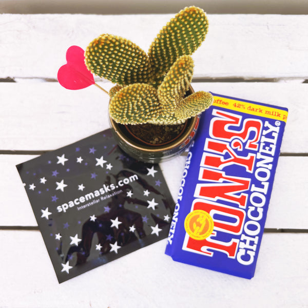 Prickly Gift Set ❤️