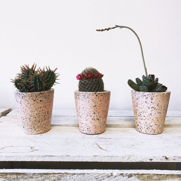 Terrazzo