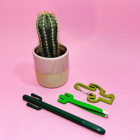 Cactus Lover's Gift Set