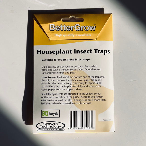Houseplant Insect Traps