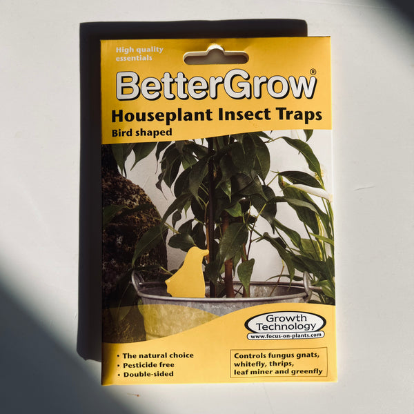 Houseplant Insect Traps