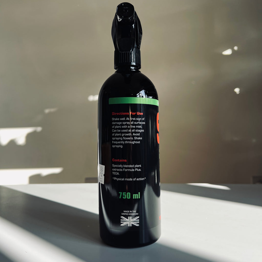 plant spider mite spray Spider Mite Control Spray – Barry The Cactus