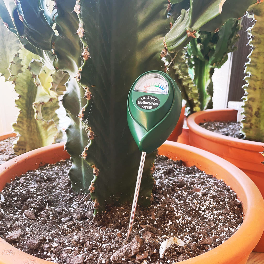 moisture meter for succulents Soil Moisture Meter – Barry The Cactus