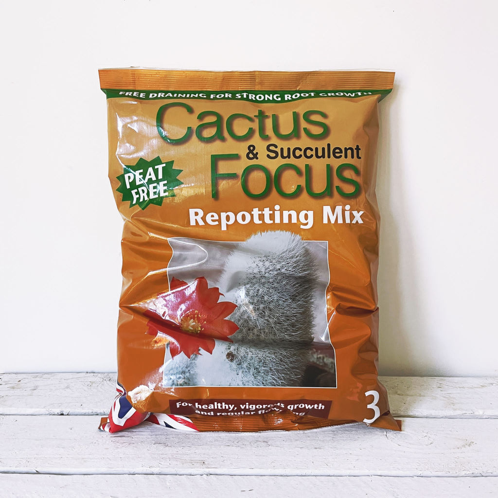cactus and succulent focus Cactus and Succulent Repotting Mix – Barry The Cactus
