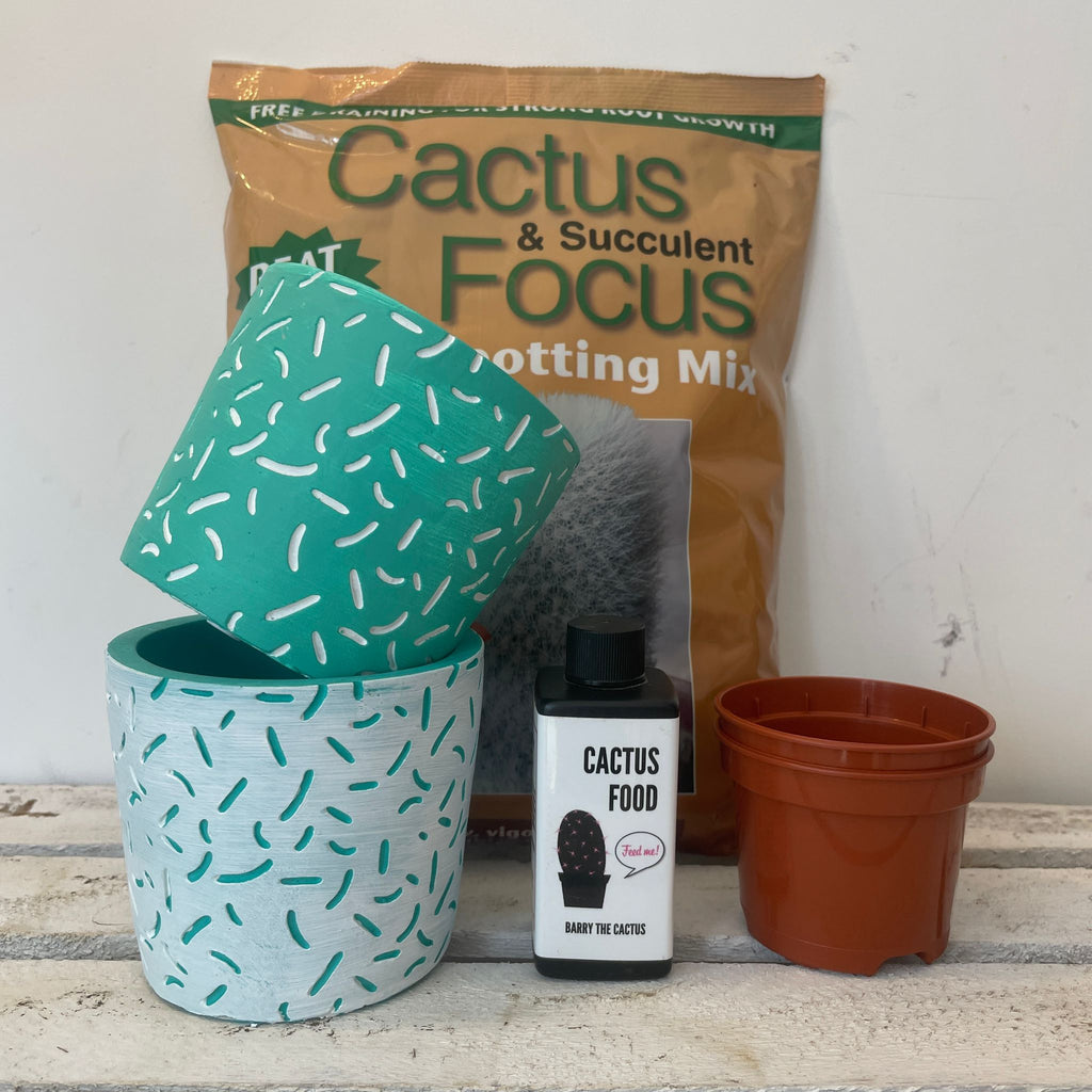 succulent repotting kit Barry's Repotting Set – Barry The Cactus