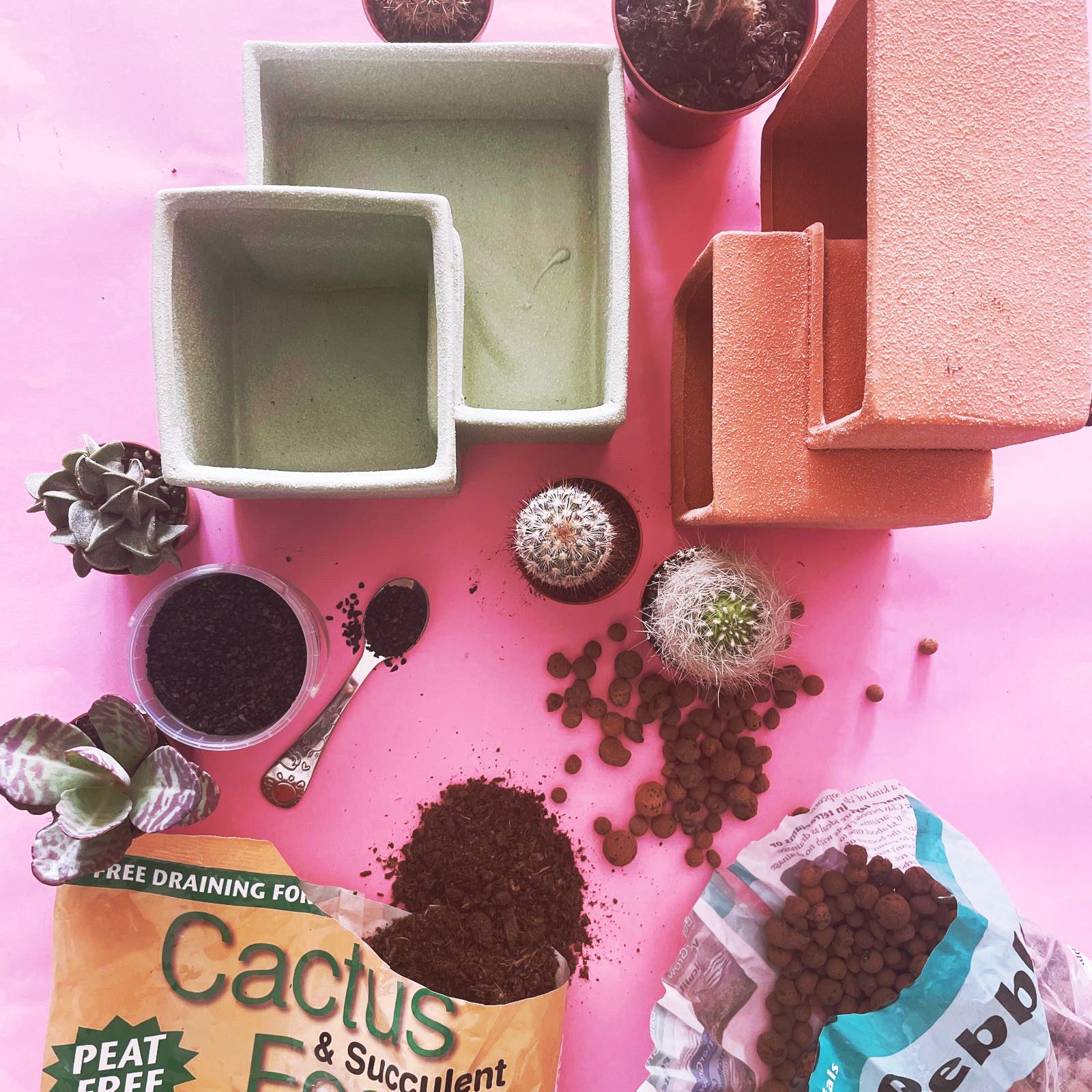 succulent repotting kit Desert Garden Repotting Set – Barry The Cactus