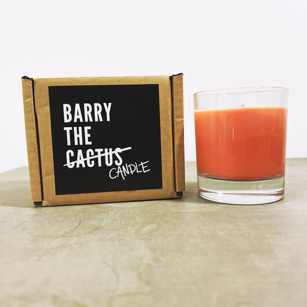 Barry The Candle