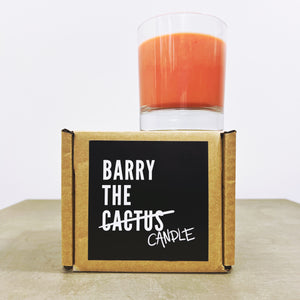 Barry The Candle