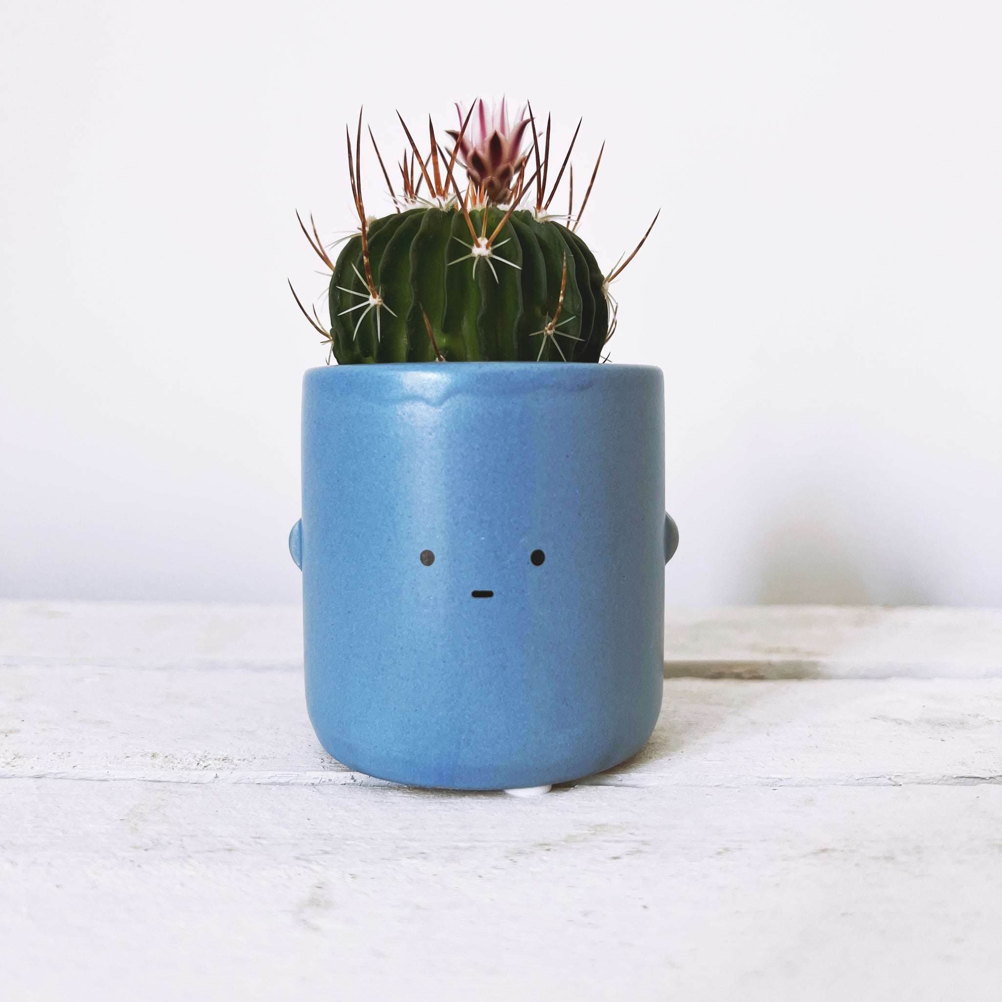 toki plant pot Toki – Barry The Cactus